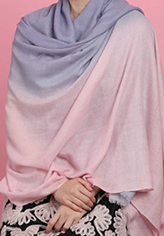 click here for discount card